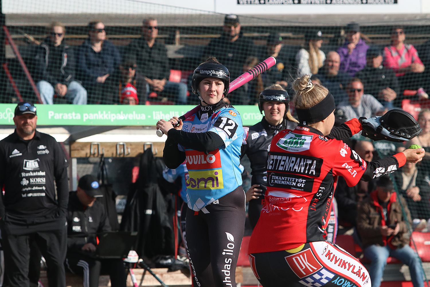 18.6.2025 - (Pesäkarhut N-JoMa N)