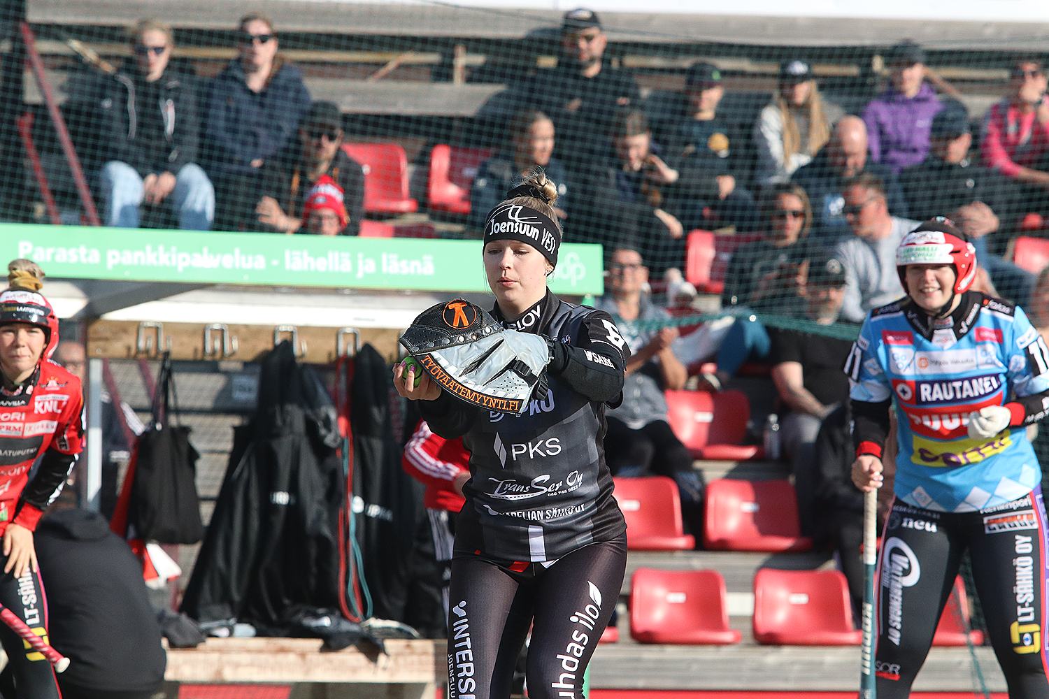 18.6.2025 - (Pesäkarhut N-JoMa N)