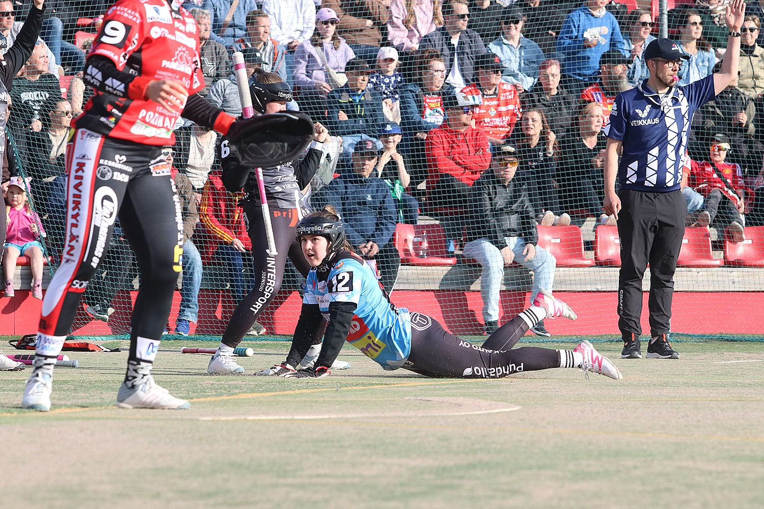 18.6.2025 - (Pesäkarhut N-JoMa N)