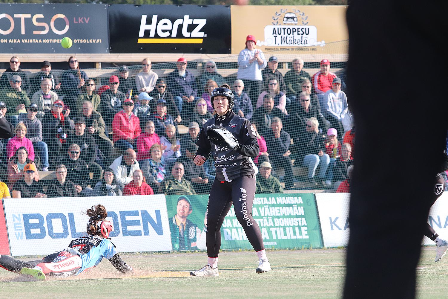 18.6.2025 - (Pesäkarhut N-JoMa N)