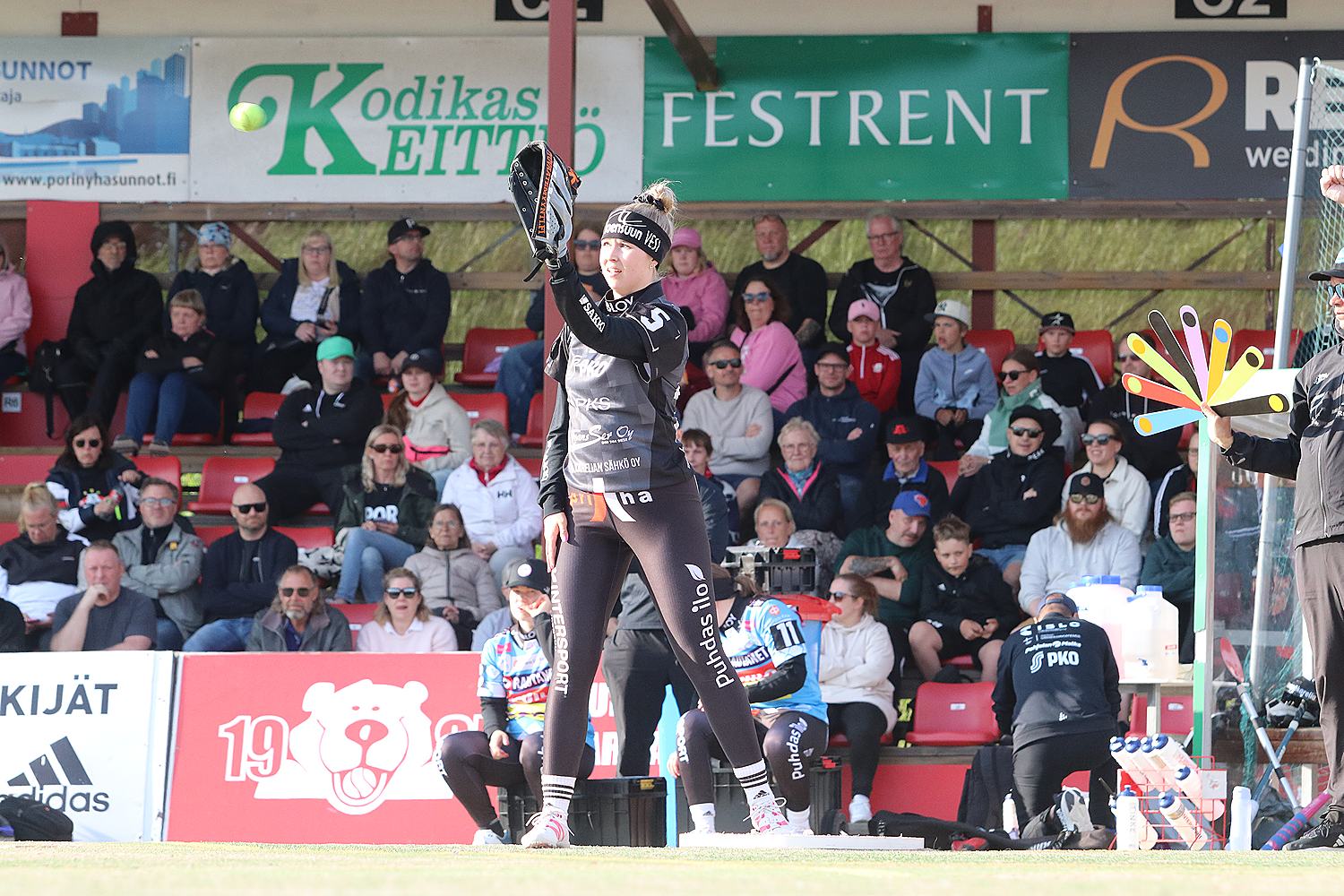 18.6.2025 - (Pesäkarhut N-JoMa N)