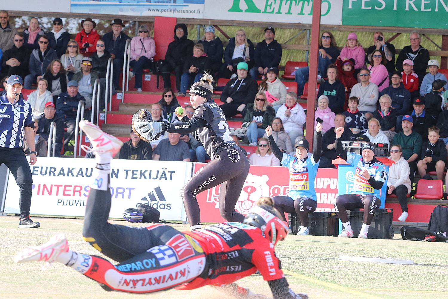 18.6.2025 - (Pesäkarhut N-JoMa N)