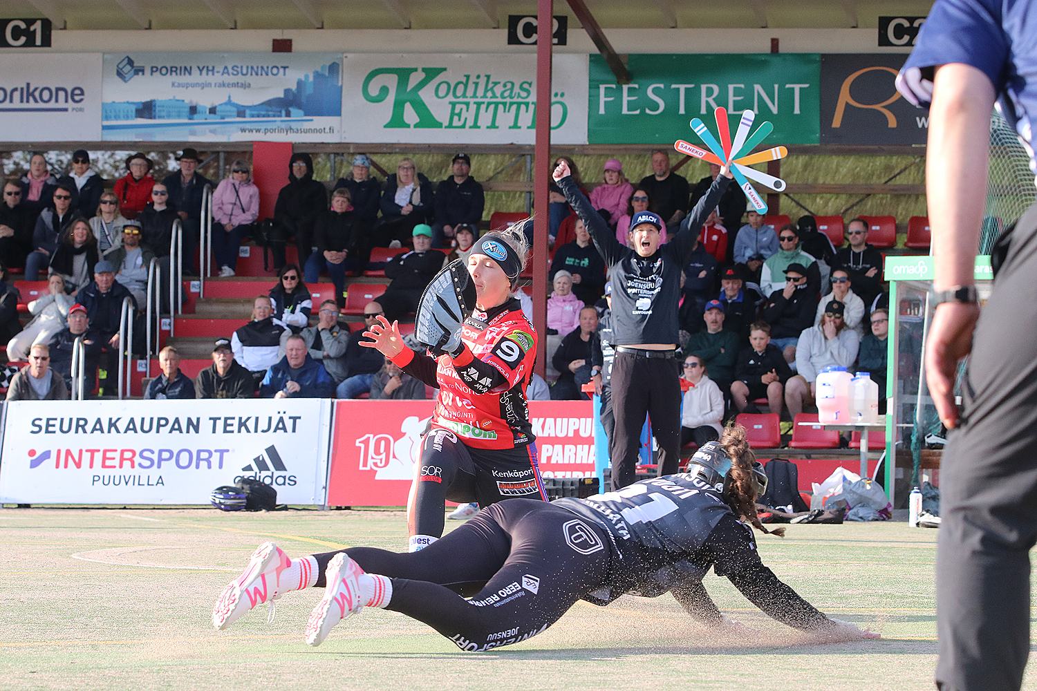 18.6.2025 - (Pesäkarhut N-JoMa N)