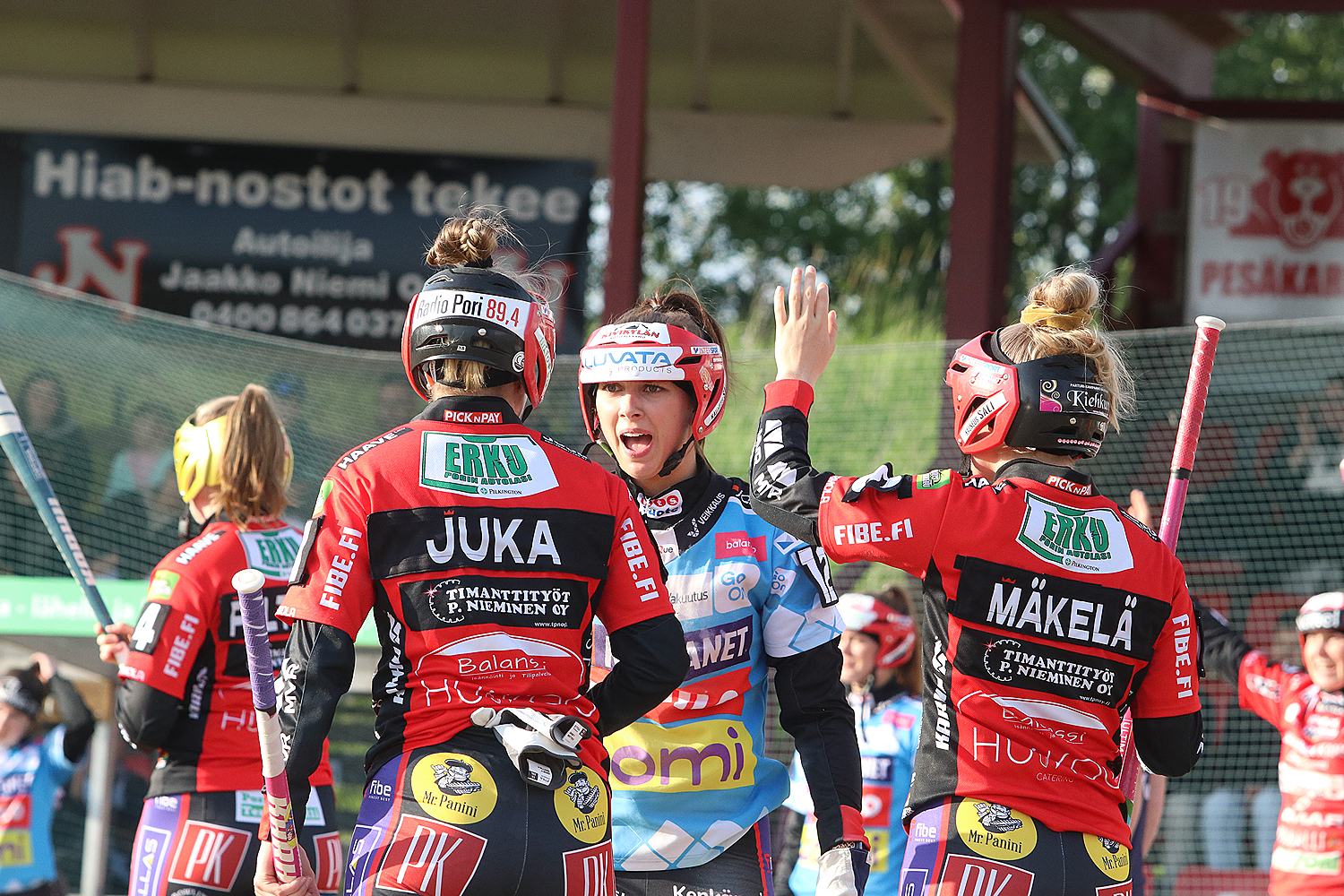 18.6.2025 - (Pesäkarhut N-JoMa N)