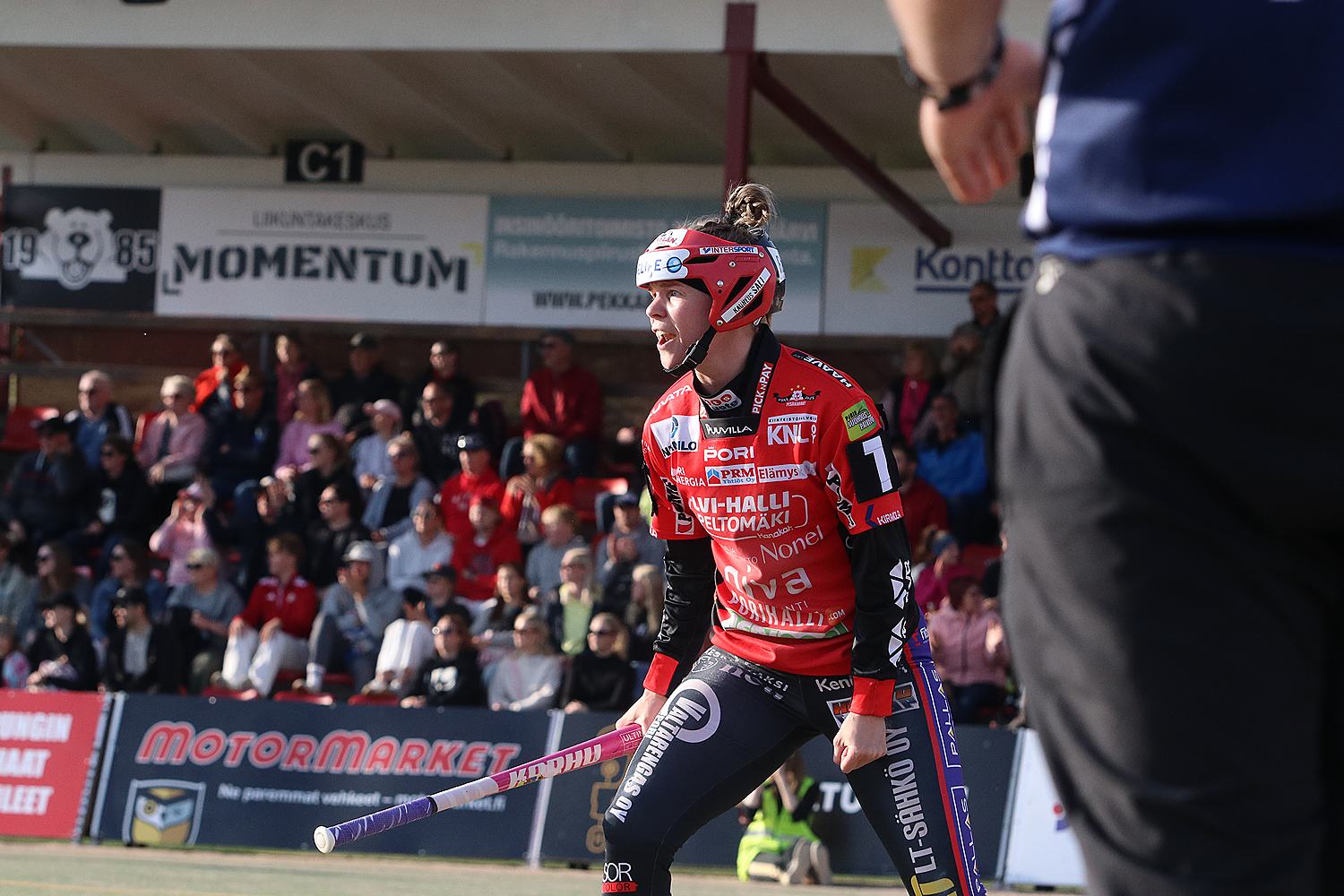 18.6.2025 - (Pesäkarhut N-JoMa N)