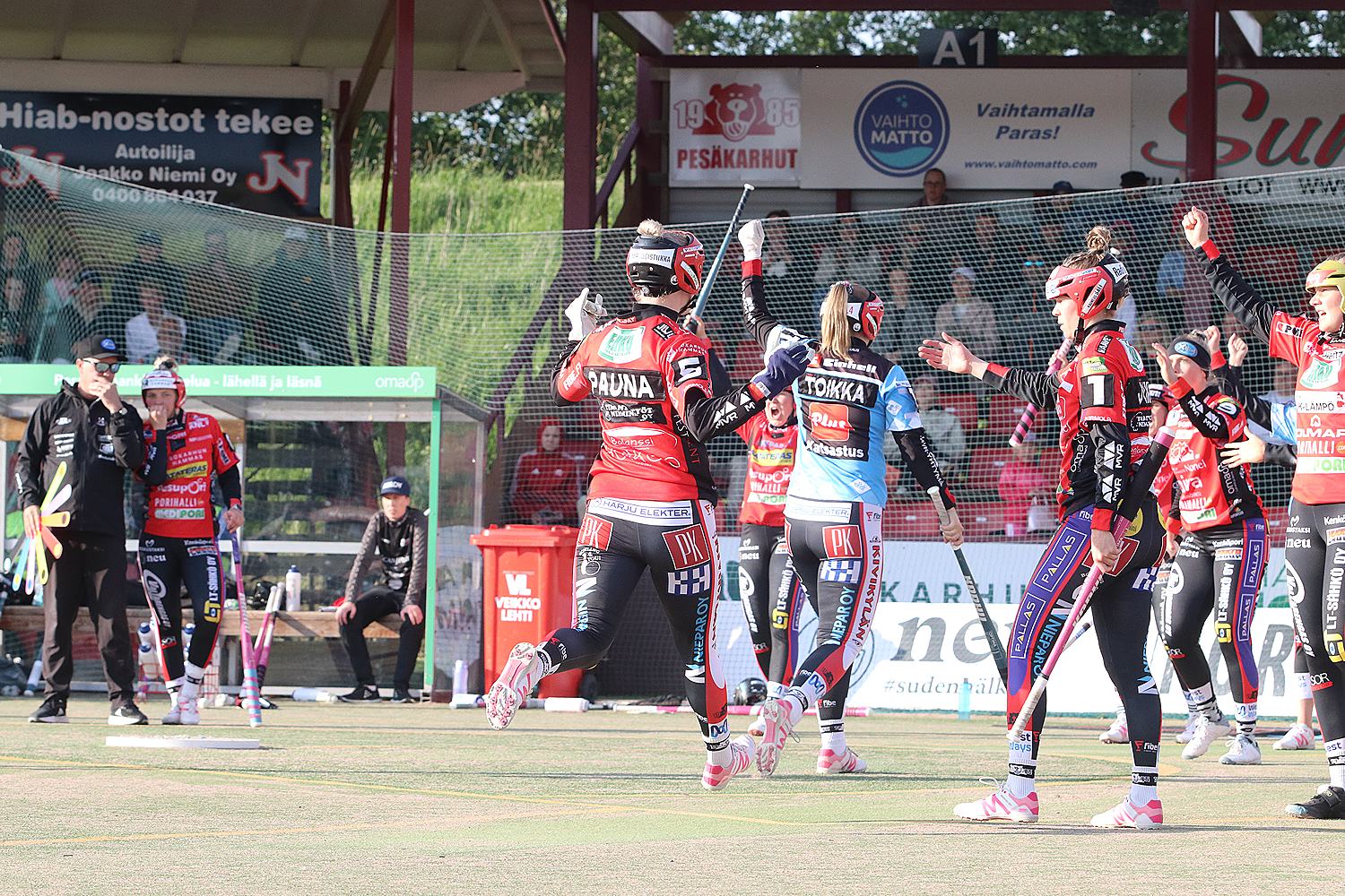 18.6.2025 - (Pesäkarhut N-JoMa N)