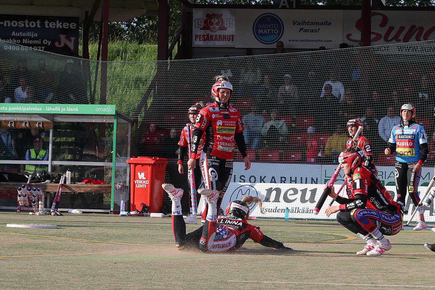 18.6.2025 - (Pesäkarhut N-JoMa N)