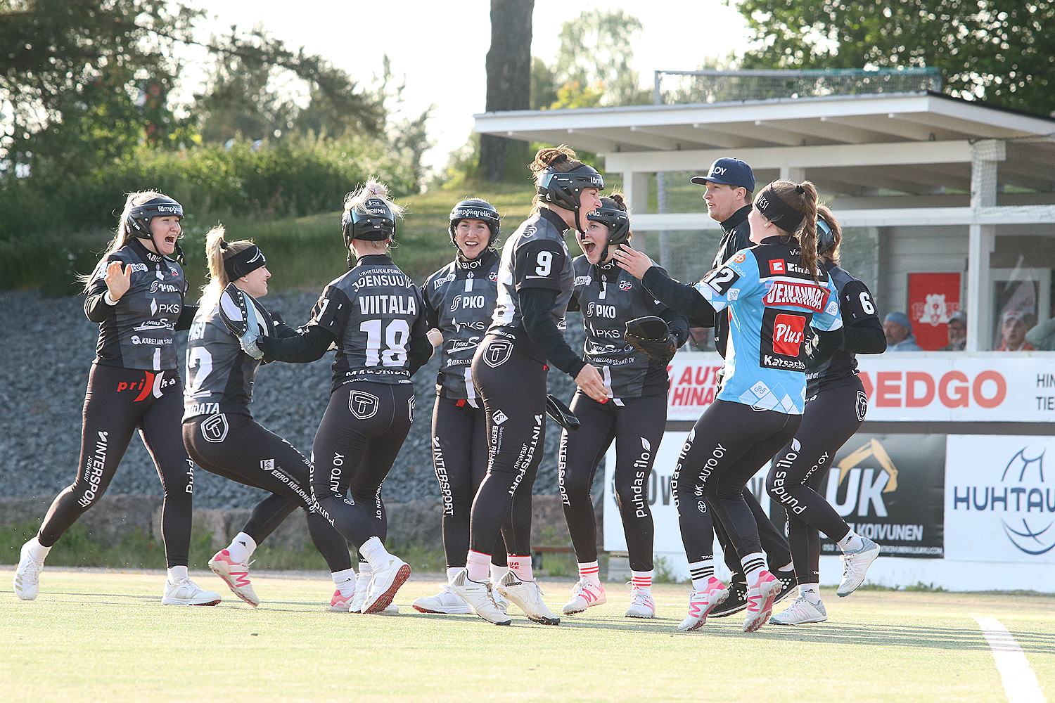 18.6.2025 - (Pesäkarhut N-JoMa N)