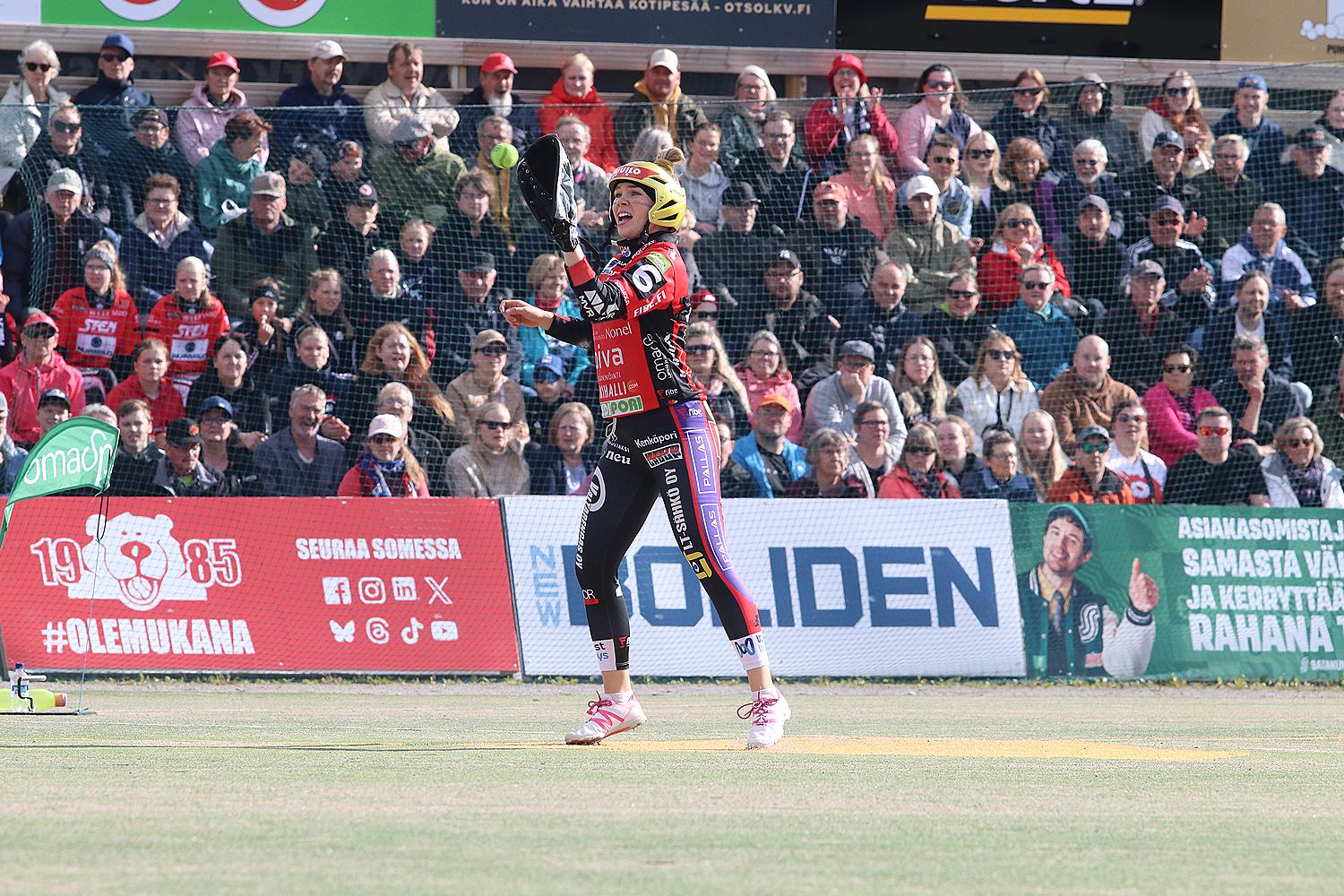 25.6.2025 - (Pesäkarhut-Fera)