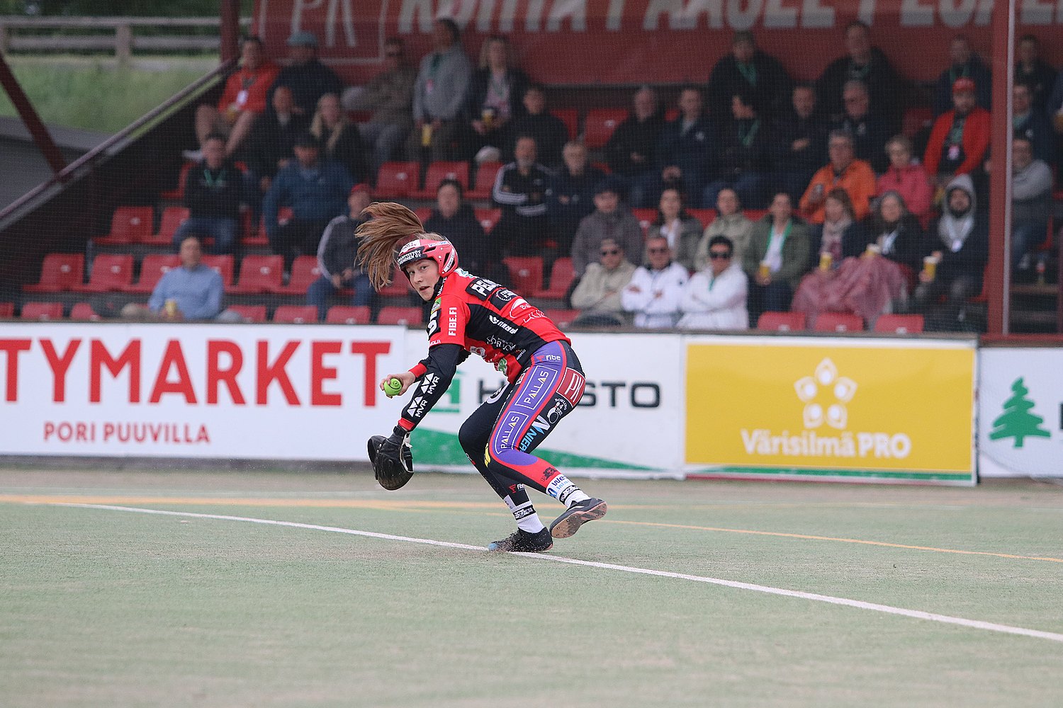 6.6.2025 - (Pesäkarhut N-Jussittaret N)