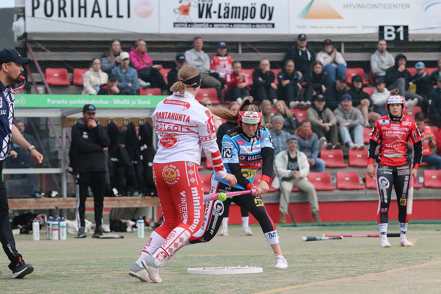 6.6.2025 - (Pesäkarhut N-Jussittaret N)