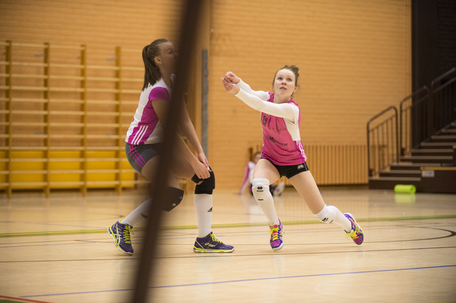 8.2.2015 - (Puijo Volley-Nice Team)