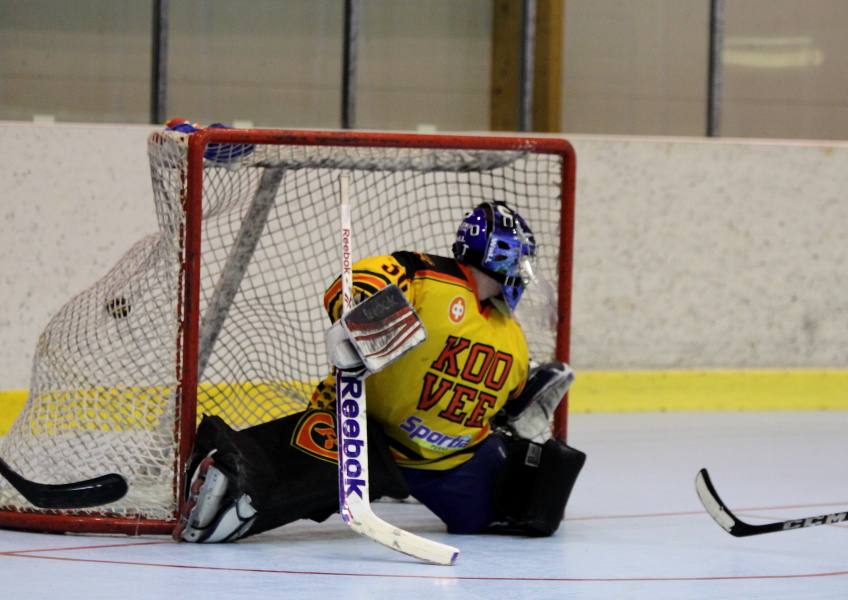 27.04.2013 - (ZSKA-Koovee Rollers)