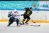 16.8.2013 - (Ilves-Sibir) kuva: 6