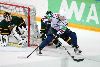 16.8.2013 - (Ilves-Sibir) kuva: 7