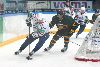 16.8.2013 - (Ilves-Sibir) kuva: 15