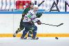 16.8.2013 - (Ilves-Sibir) kuva: 16