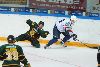 16.8.2013 - (Ilves-Sibir) kuva: 22