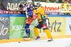9.4.2014 - (Tappara-Lukko) kuva: 34
