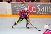 8.5.2014 - (Pahalampi-Koovee Rollers) kuva: 3