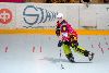 8.5.2014 - (Pahalampi-Koovee Rollers) kuva: 6