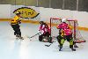 8.5.2014 - (Pahalampi-Koovee Rollers) kuva: 12