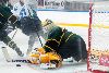 12.08.2014 - (Ilves-HC Jugra) kuva: 6