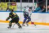 12.08.2014 - (Ilves-HC Jugra) kuva: 9