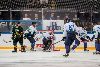12.08.2014 - (Ilves-HC Jugra) kuva: 23