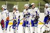 28.2.2015 (Hokkarit-Tinatuopit) kuva: 45