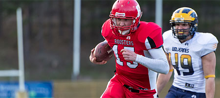 Roostersille 17:s Suomen mestaruus