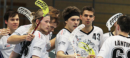 SalBa nylki Ilveksen